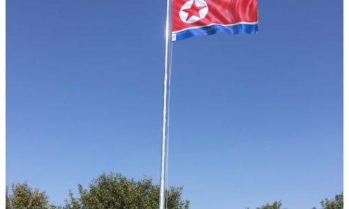 North Korea Flag